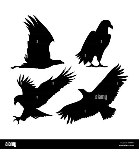 Hand Drawn Animals Silhouette Eagle Bird Set Vector Illustration Stock