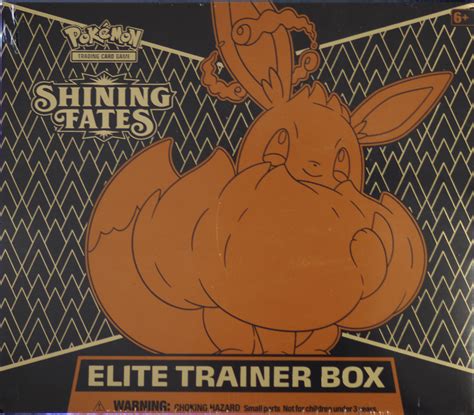 POKEMON SHINING FATES ELITE TRAINER BOX – Pokefeens