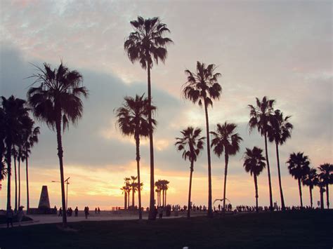 Venice Beach Wallpapers, Pictures, Images