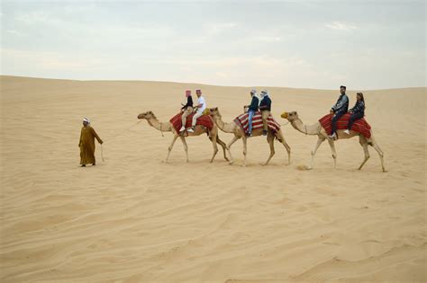 Evening Camel Desert Safari With BBQ Dinner