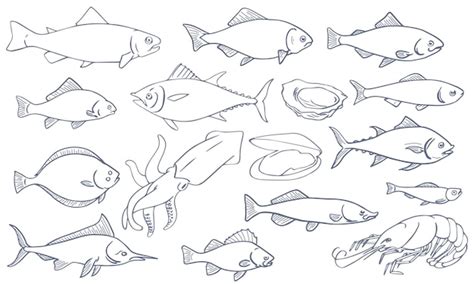 Premium Vector | Fish line drawing vector collection