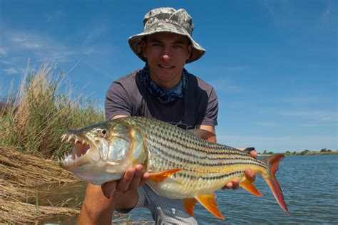 BOTSWANA – OKAVANGO TIGER FISHING - Kwando Adventures