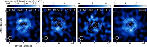 The First Spatially Resolved Detection Of 13CN In A Protoplanetary Disk