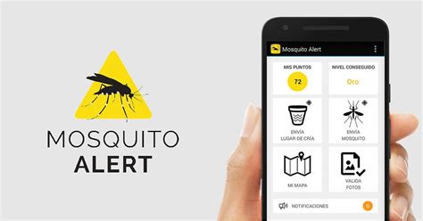 Sanidad Impulsa La Plataforma Mosquito Alert Como Herramienta De