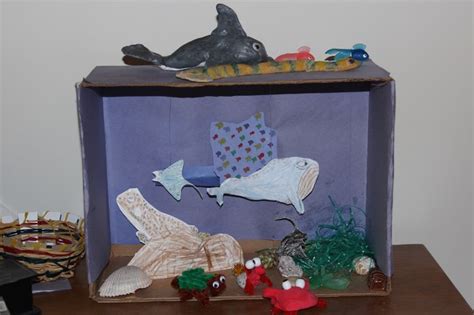 7 best underwater diorama images on Pinterest | School projects, Ocean ...