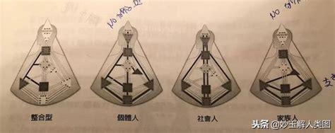 「人类图」回路群 The Circuits 每日头条