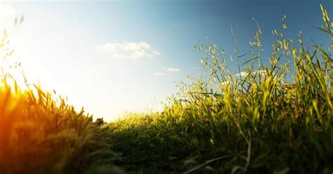 Meteo Friuli Cielo Variabile A Seconda Delle Zone UDINE News