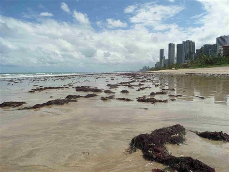 Recife-beaches | Urban Travel Blog