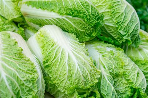 Виды капусты, о которых мало кто знает - Со Вкусом