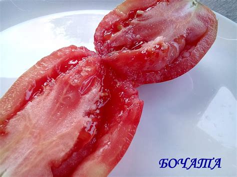 Томат Бочата: описание сорта, ОТЗЫВЫ, фото | tomatland.ru