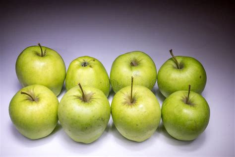 Eight Green Apples Stock Photo Image Of Food Painted 49562090