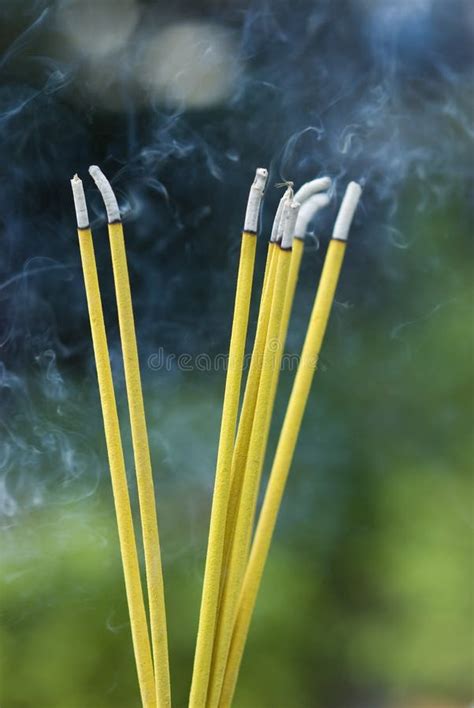 Burning Incense Sticks Stock Image Image Of Incense Joss 6376747