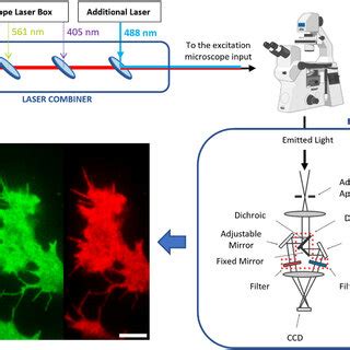 Multicolour TIRF microscopy setup. Top left: simultaneous double ...