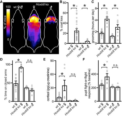 A Microglia Sublineage Protects From Sex Linked Anxiety Symptoms And Obsessive Compulsion PMC