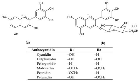 Antioxidants Free Full Text Anthocyanins And Anthocyanin Derived