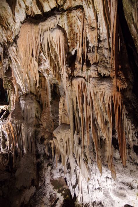 Visite De La Grotte De Postojna Et Du Ch Teau De Predjama