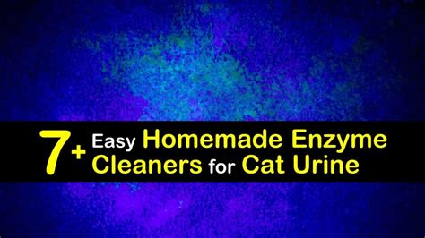 7 Easy Homemade Enzyme Cleaners For Cat Urine