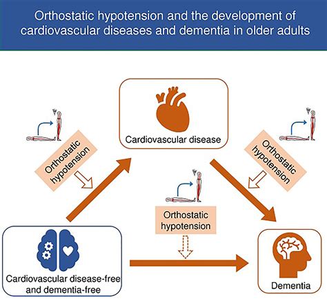 orthostatic hypotension diagnosis