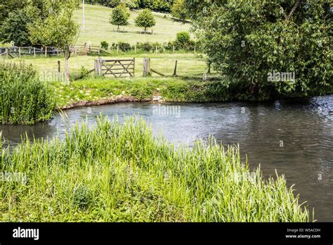 The River Windrush in summer in the Cotswolds Stock Photo - Alamy