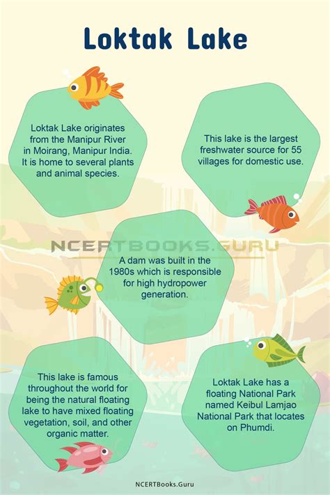 Loktak Lake History, Map, System, Pollution and Importance - NCERT Books