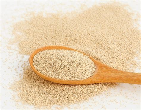 Yeast 101: Exploring Active Dry Yeast Vs Instant Yeast | Everything Better 