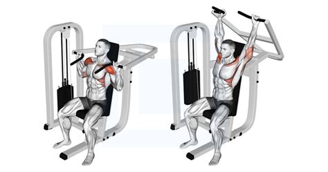 Lever Seated Shoulder Press Guide Benefits And Form