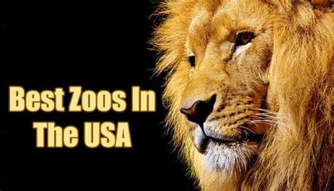 15 Best Zoos In The Usa Best Zoos In America Bioexplorer