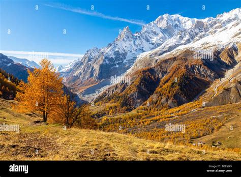 View Of The Mont Blanc Massif From The Path To The Bertone Refuge In