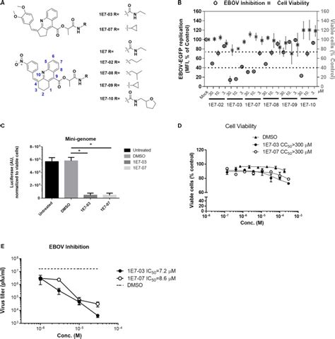 Targeting The Non Catalytic RVxF Site Of Protein Phosphatase 1 With