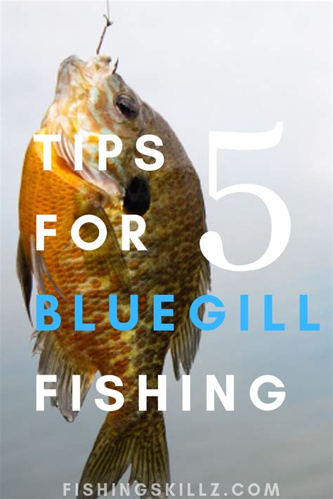 How To Catch Bluegill Ultimate Guide To Bluegill Fishing Tips