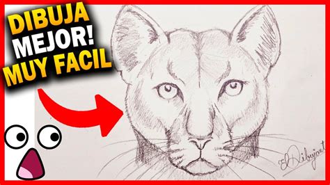 C Mo Un Puma Paso A Paso F Cil Realista A L Piz Dibujos De