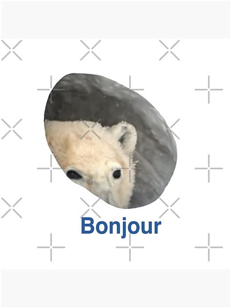 "Bonjour - Polar Bear Meme" Poster for Sale by LeenoTasseri10 | Redbubble