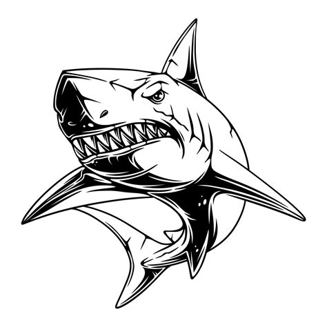 Vector Illustration Shark With Cool And Spooky Position With Sharp