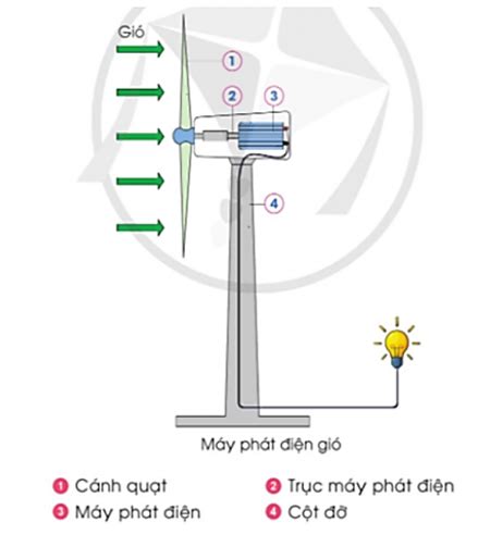 Dựa vào hình và thông tin gợi ý hãy sắp xếp các thẻ dưới đây cho đúng