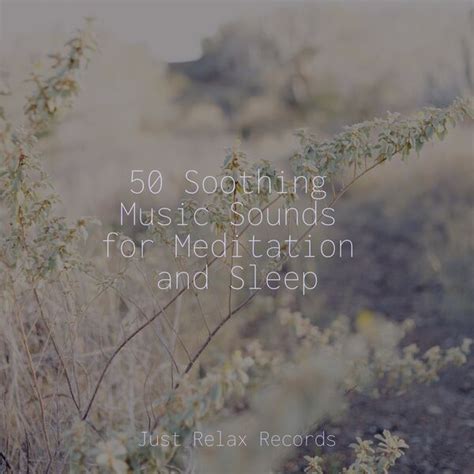 Soothing Music Sounds For Meditation And Sleep Guided Meditation