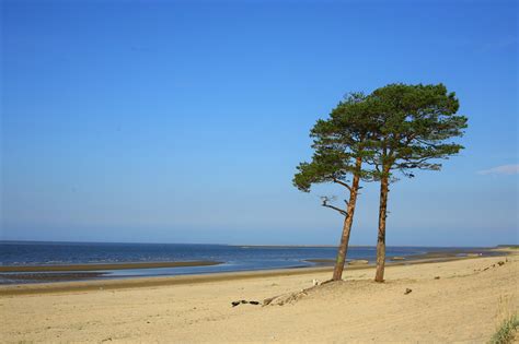 Ягры - фото и картинки: 69 штук