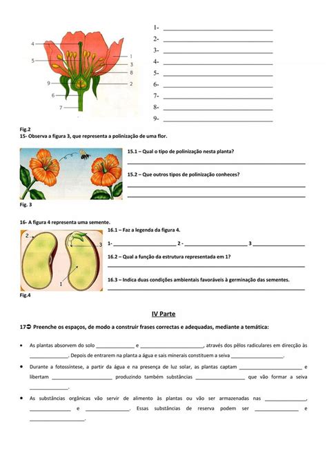 Trocas Nutricionais Entre O Organismo Das Plantas E O Meio A