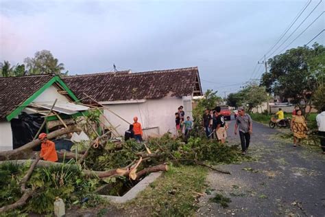 BPBD Lumajang Angin Kencang Sebabkan Rumah Rusak Hingga Warga Terluka