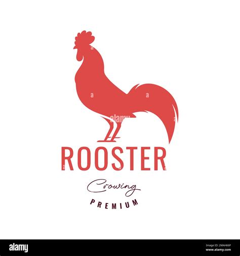 Rooster Chicken Dashing Poultry Pedigree Isolated Logo Design Vector