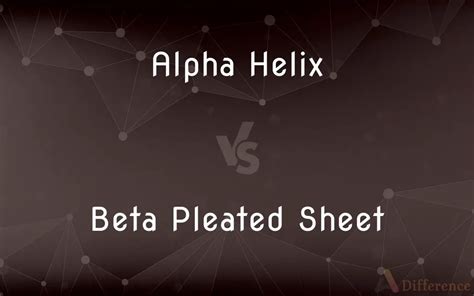 Alpha Helix vs. Beta Pleated Sheet — What’s the Difference?