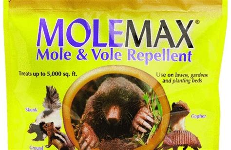 Best Vole Repellent Review 2020 - Consumer Guides