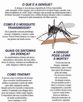 Texto Informativo Sobre A Dengue Para 3o Ano Texto Exemplo