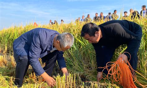 Yuan Longping Father Of Hybrid Rice Dies At 91 Global Times