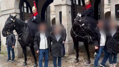 Londra Turista Si Avvicina Troppo Alla Guardia Del Re Il Cavallo Non