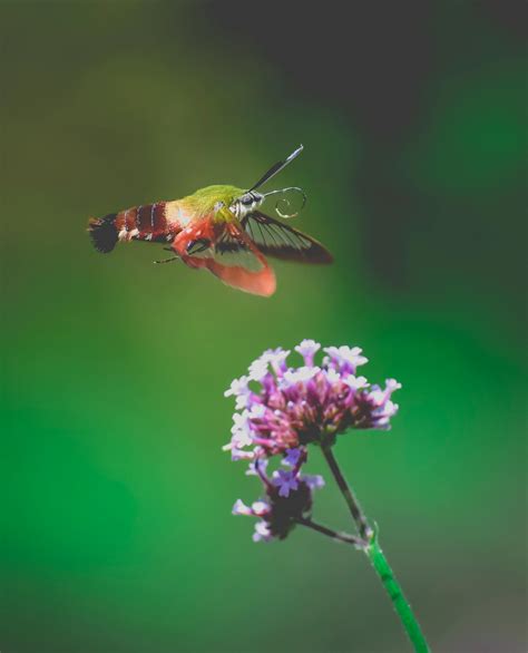 Violet Summers Full Videos Photos, Download The BEST Free Violet