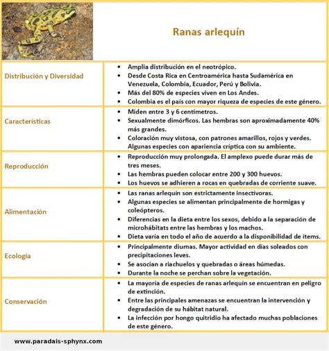 Ranas Arlequ N Caracter Sticas Alimentaci N Reproducci N