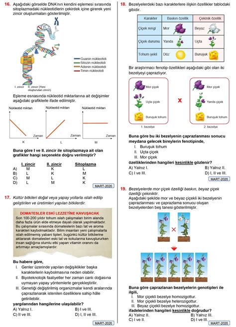 Dna Ve Genetik Kod Test2e