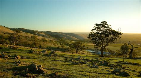 Barossa Valley Travel Guide 2024: The Best of Barossa Valley | Expedia