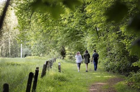 Koppenberg Wandelroute Wandelknooppunt Be