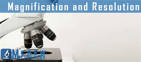 Difference between Magnification and Resolution - Microscope Crew